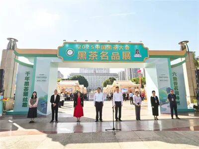 ��������ͼ ���뻪����ϯ2025�й��ڲ���